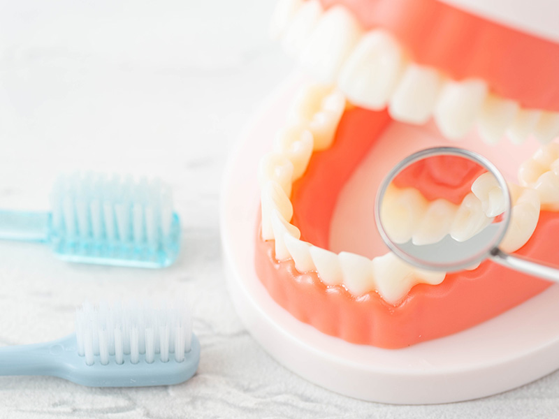 地域の皆さまの歯生活を守ります